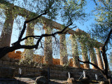 アグリジェント Agrigento ヘラ神殿
