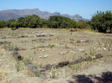 ジャルディーニ・ナクソス Giardini Naxos 考古学地区