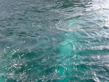パナレア島 Panarea 海水から湧き出るガス