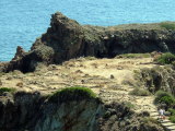 パナレア島 Panarea 先史時代集落跡