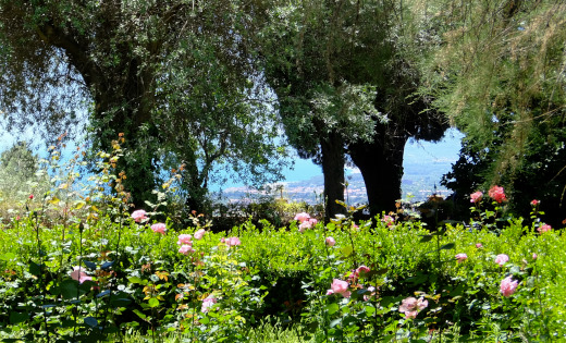 タオルミーナ Taormina 市民公園